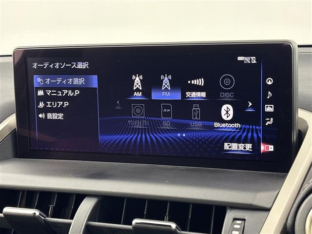 NX300h Fスポーツ