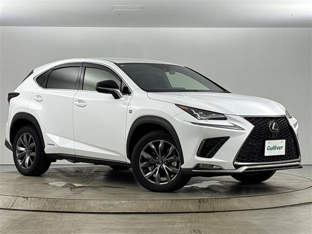 NX300h Fスポーツ