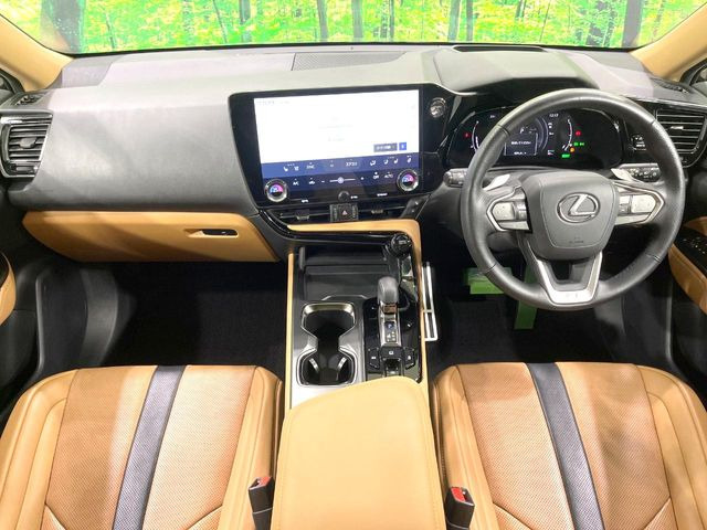 NX350h Fスポーツ