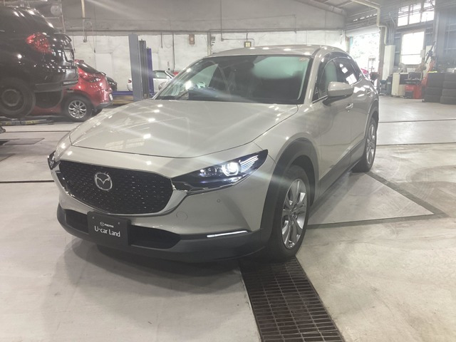 CX-301.8 XD プロアクティブ