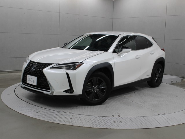 UX250h バージョンC