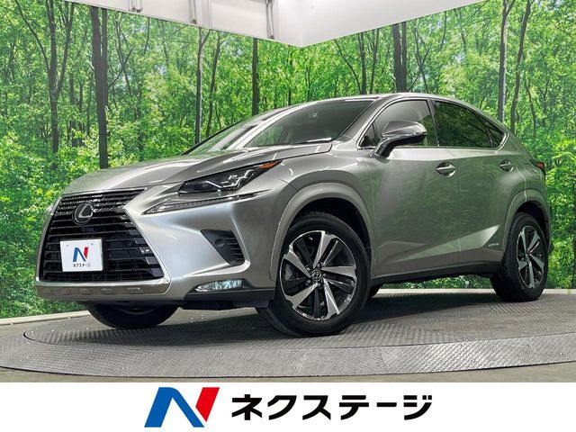 NX300h Iパッケージ