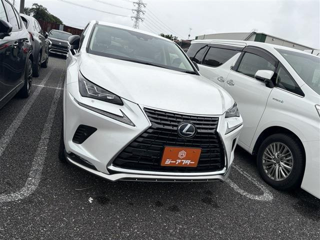 NX300h スパイス&シック