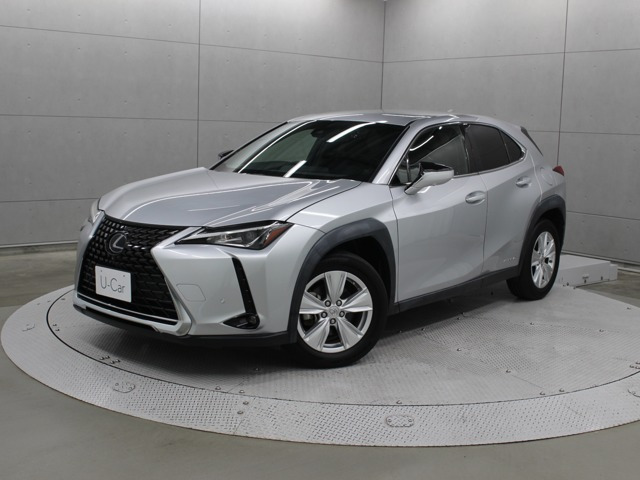 UX250h バージョンC
