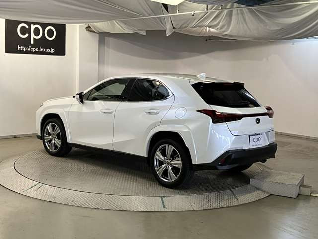 UX250h グレイスフル エクスプローラー