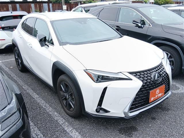 UX250h バージョンC