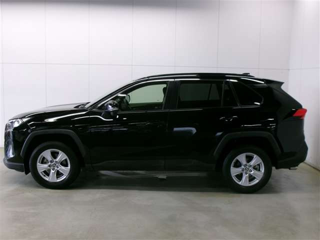 RAV42.0 X
