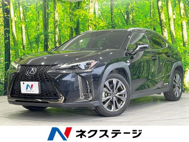 UX250h Fスポーツ