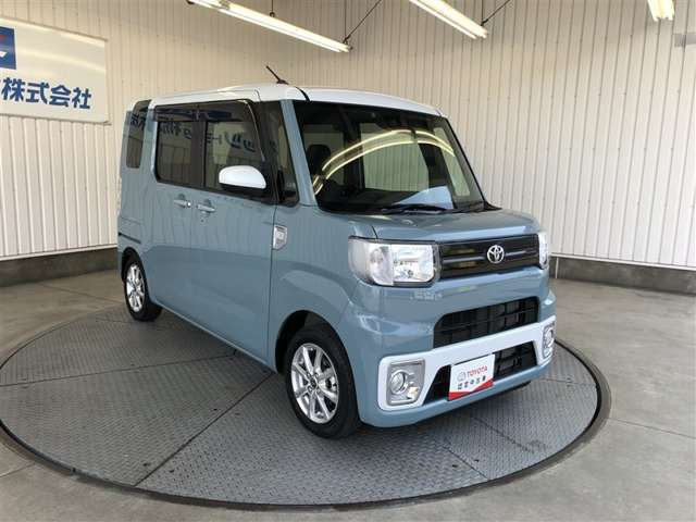 ピクシスメガL SAIII