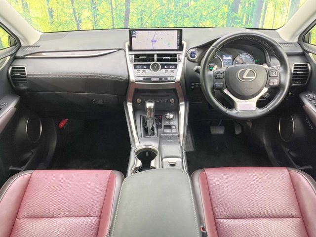 NX300h バージョンL