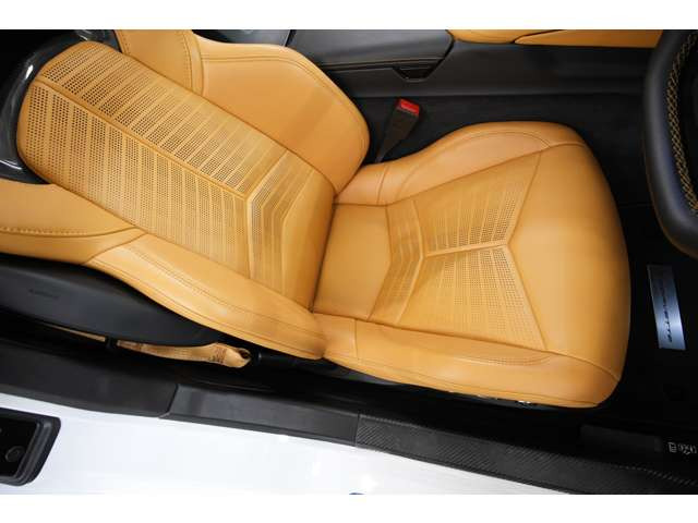 ����̓A�����J�ԂȂ�ł͂̑�r�C�ʂ��y���ނ��Ƃ��ł��܂��B