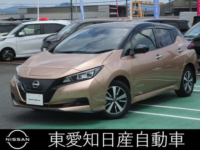リーフe+ X