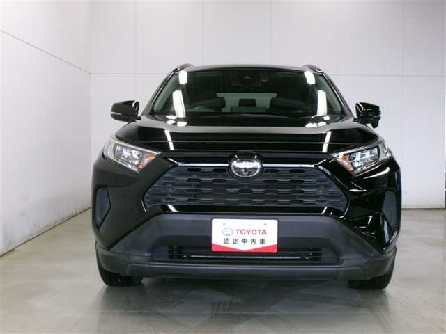 RAV42.0 X