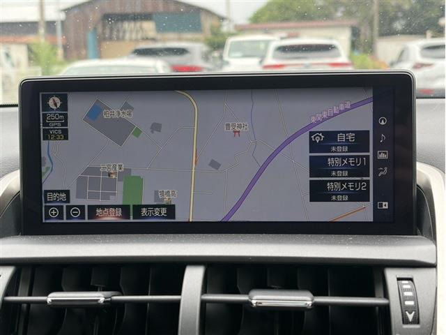 NX300h スパイス&amp;シック
