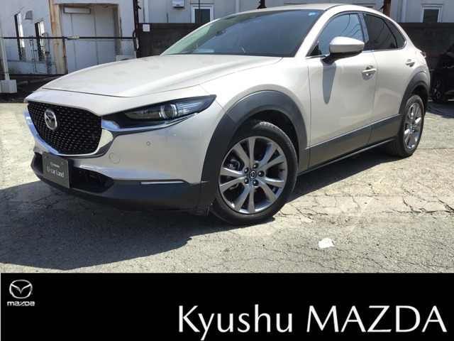CX-302.0 20S プロアクティブ