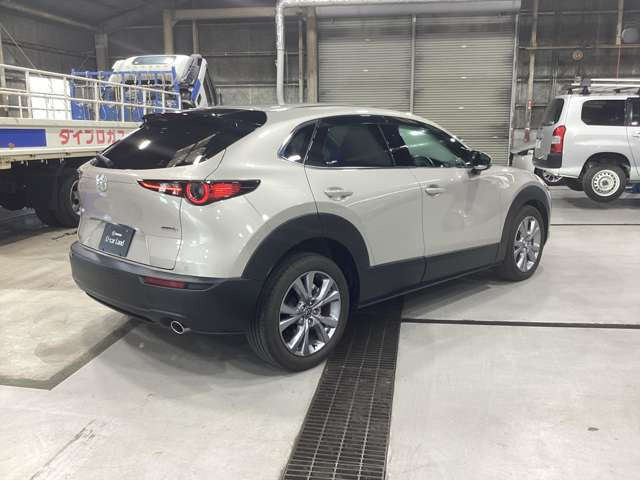 CX-301.8 XD プロアクティブ