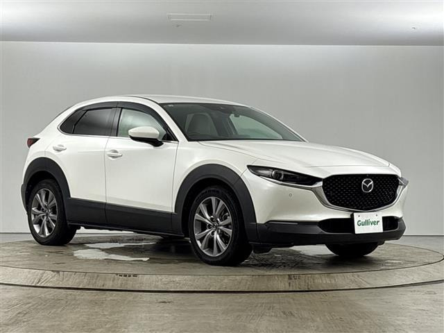 CX-301.8 XD Lパッケージ