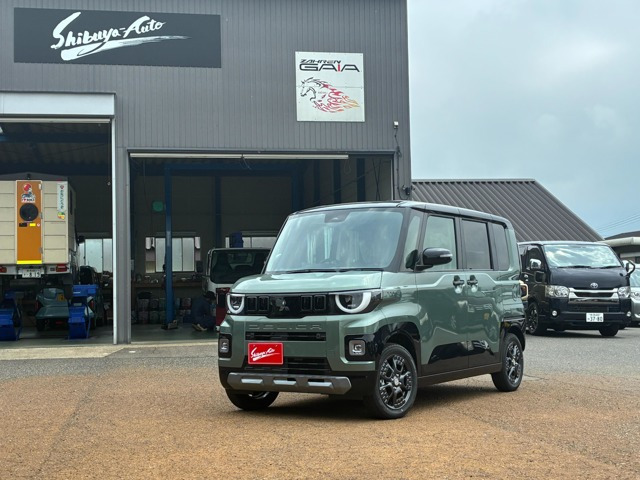 デリカミニT プレミアム デリマル パッケージ 4WD