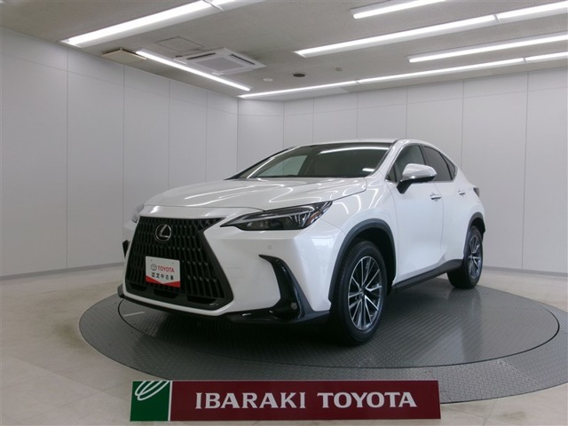 NX