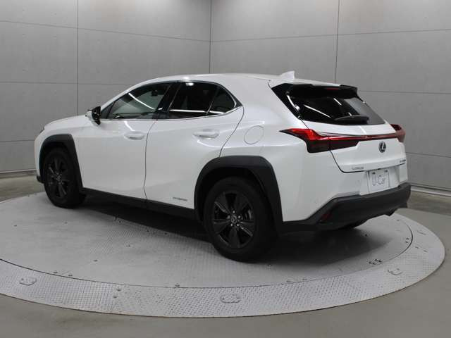 UX250h バージョンC