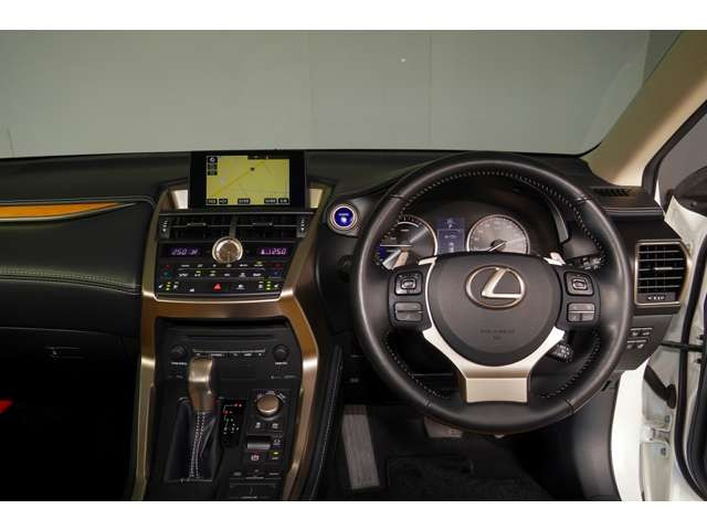 NX300h バージョンL