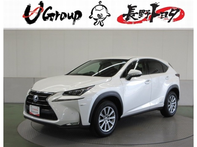 NX300h Iパッケージ