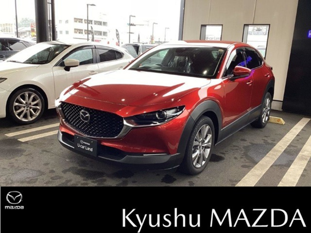 CX-301.8 XD Lパッケージ