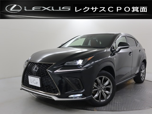 NX300h Fスポーツ