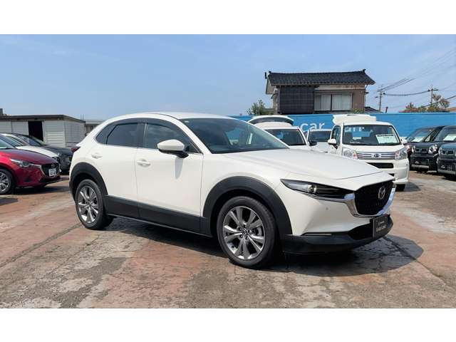 CX-302.0 20S
