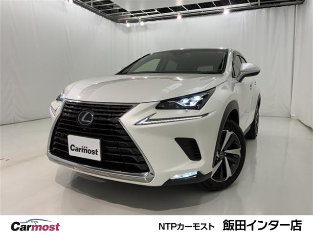 NX300h バージョンL