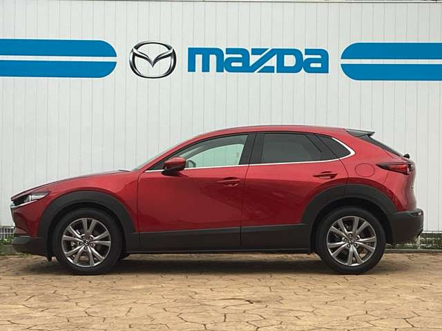 CX-30