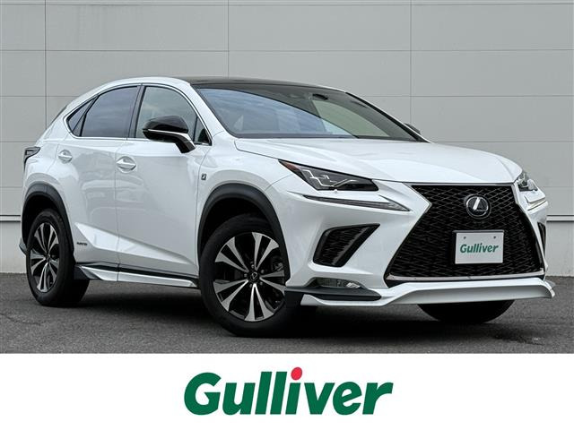 NX300h Fスポーツ