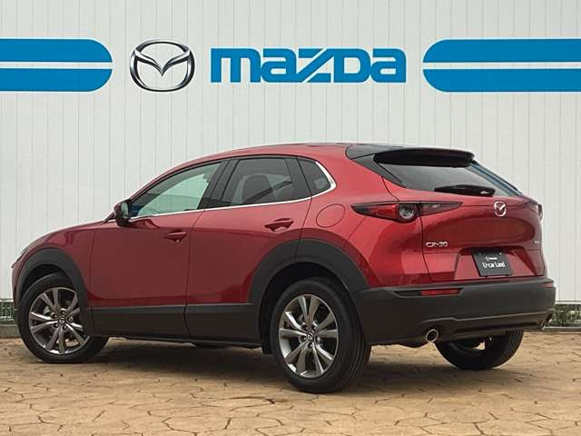 CX-30