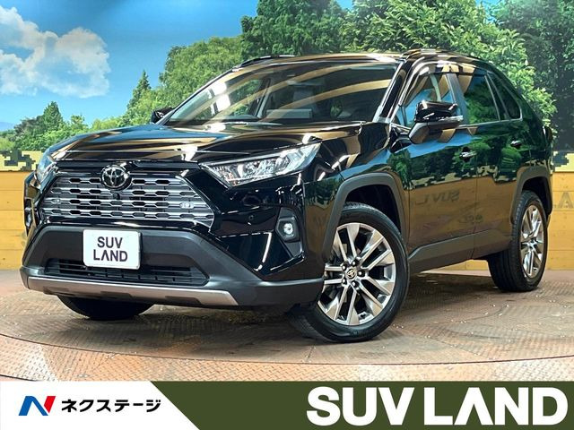 RAV42.0 G Zパッケージ 4WD