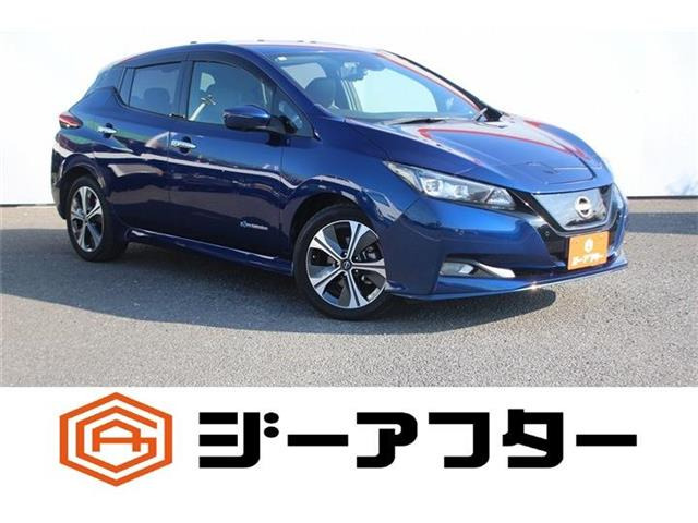 リーフe+ G
