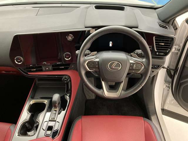 NX