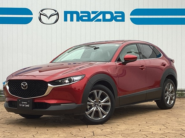CX-30