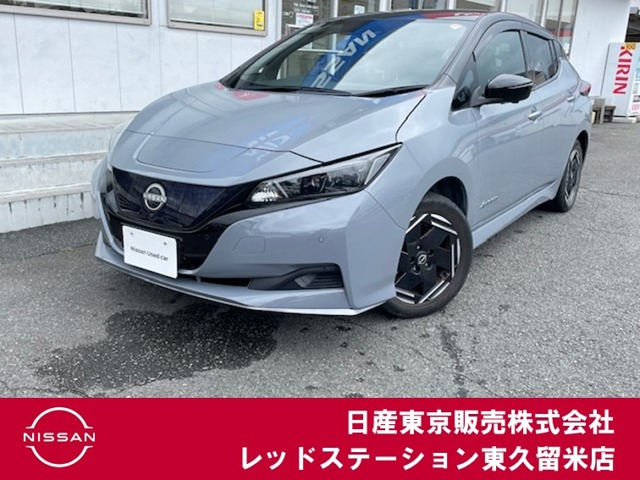 リーフe+ X