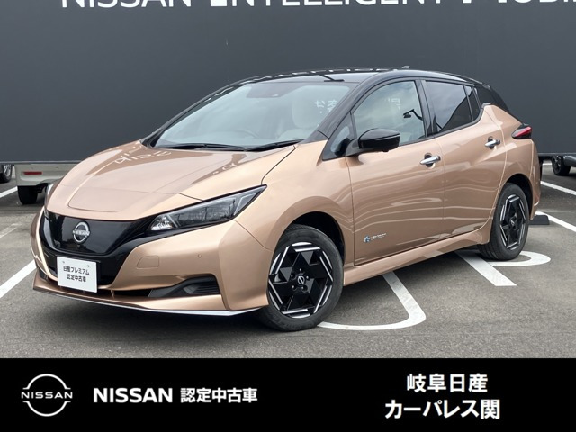 リーフe+ X