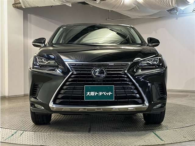 NX300h Iパッケージ