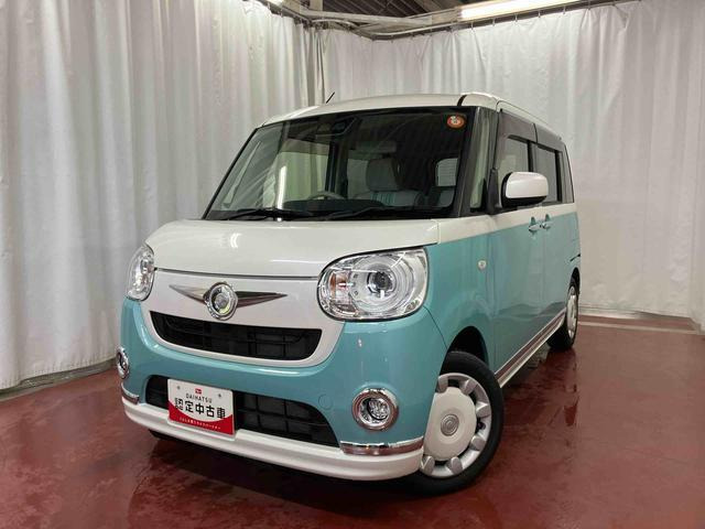 ムーヴキャンバスG メイクアップ SAIII