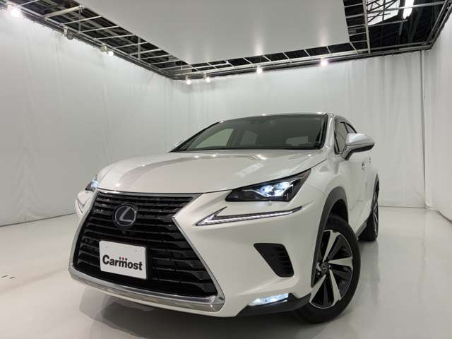 NX300h バージョンL