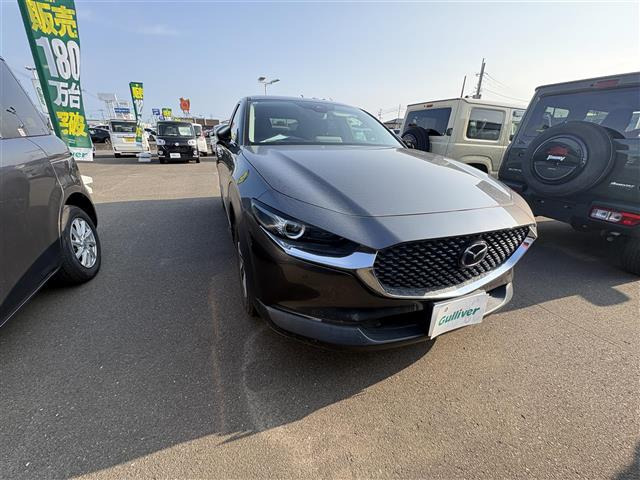 CX-302.0 20S
