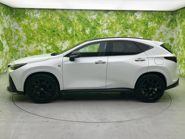 NX350h Fスポーツ