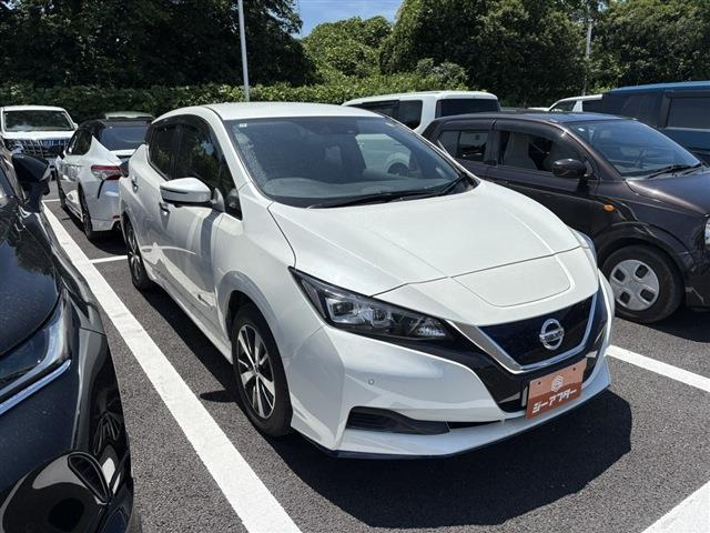 リーフe+ X