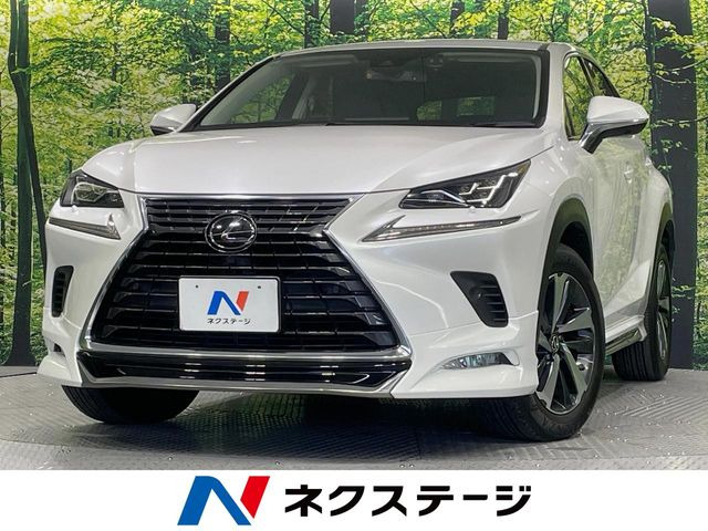 NX200t Iパッケージ