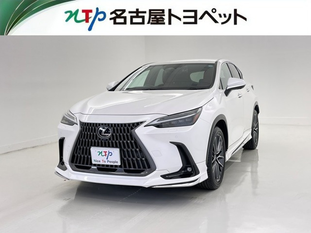 NX250 バージョンL