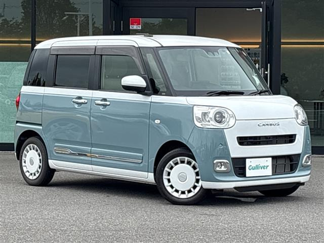 ムーヴキャンバスストライプス G