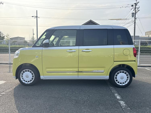 ムーヴキャンバスストライプス G