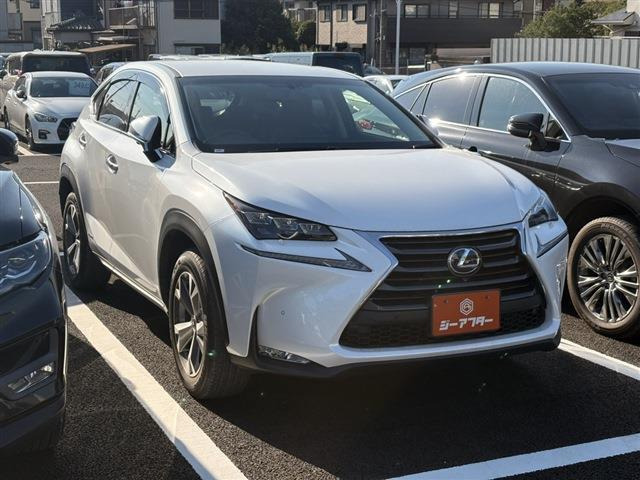 NX300h バージョンL 4WD